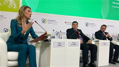 رئيس مجلس إدارة المحطات النووية: 