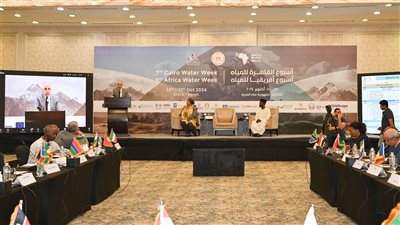 سويلم يرأس إجتماع اللجنة الاستشارية الفنية لمجلس وزراء المياه الأفارقة (الأمكاو) 