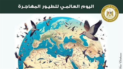 وزيرة البيئة : مصر قبلة الطيور المهاجرة و محطة هامة للتكاثر والغذاء