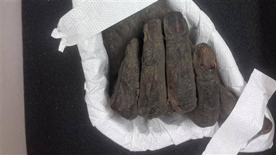 استرداد ثلاث قطع أثرية من ألمانيا وتسليمها للسفارة المصرية ببرلين