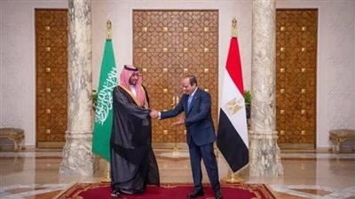 مصر والسعودية تؤكدان ضرورة السعى لهدنة مستدامة ووقف دائم لإطلاق النار فى غزة