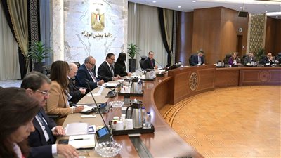 رئيس الوزراء يعقد اجتماعًا لمناقشة وضع تصوُر للمنظومة الشاملة للإقراض الصغير ومتناهي الصغر