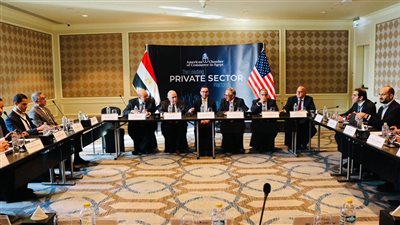 وزير الاستثمار والتجارة الخارجية يستعرض فرص ومقومات الاستثمار بالسوق المصري