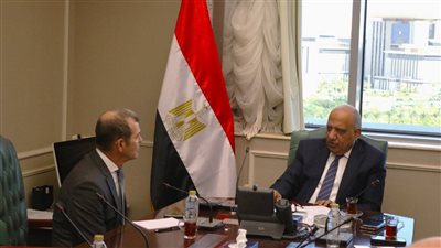 وزير الكهرباء يبحث مع الشركة العربية للهندسة والتوزيع جودة التشغيل وكفاءة الاداء وخفض استهلاك الوقود فى محطات التوليد