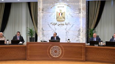 رئيس الوزراء: مشاركة مهمة للرئيس السيسي في اجتماعات قمة 