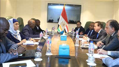  وزير الصحة يستقبل نظيره بدولة النيجر لبحث سبل تعزيز التعاون في مجالات الرعاية الصحية