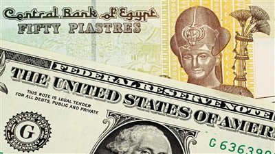 هل سيخضع الجنيه للتعويم؟.. مختصون يتحدثون عن سعر الصرف في مصر