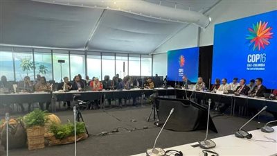 وزيرة البيئة تجتمع مع المجموعة الأفريقية لمناقشة توحيد الرؤى للخروج بقرارات منصفة للقارة من مؤتمر الأطراف للتنوع البيولوجي