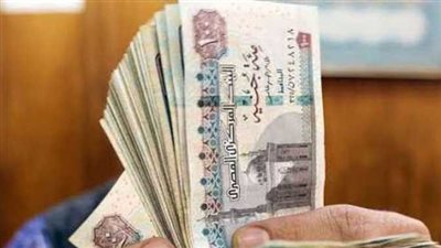 تعرف على شروط الاشتراك فى تأمين البطالة للموظفين فى القانون