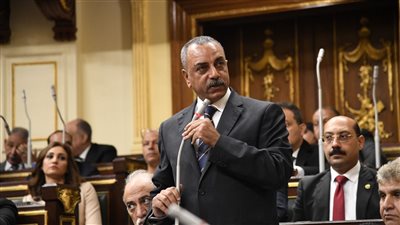 لجنة صياغة قانون الإجراءات الجنائية: التشريع يتوافق مع الجمهورية الجديدة