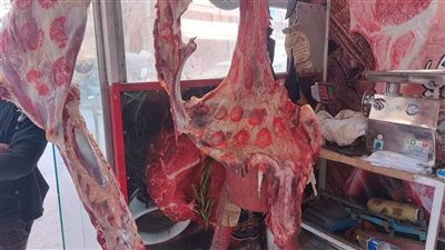 إحالة  126 محضر مخالفات تموينية للنيابة العامة بالدقهلية