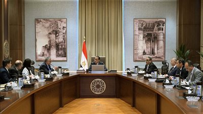رئيس الوزراء يستعرض موقف مشروع 