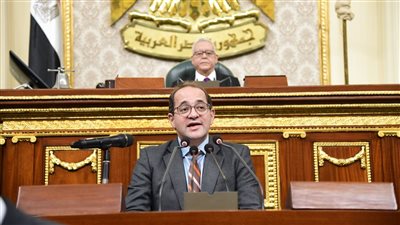 وزير المالية فى مجلس النواب بعد 