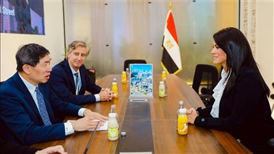 «المشاط» تُشيد بالشراكة المُثمرة مع UNDP في العديد من المبادرات والبرامج التي تنعكس على جهود التنمية في الدولة