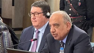  عصمت: مصر لديها استراتيجية تقوم على مصادر الطاقة المتجددة النظيفة والآمنة 