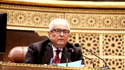 المستشار بهاء أبو شقة: رأس المال البشرى عنصر أساسى فى تعزيز اقتصاد مصر