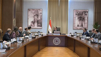 رئيس الوزراء يلتقي الرئيس التنفيذي لمجموعة 