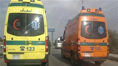 وفاة عامل أثناء العمل بأحد المصانع فى الدقهلية