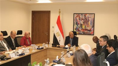 وزير الكهرباء والطاقة المتجددة يبحث مع وفد مؤسسة التمويل الدولية 
