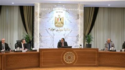 رئيس الوزراء يلتقي المدير التنفيذي لشركة 