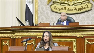 وزيرة التنمية المحلية تعرض أولويات عمل الوزارة لمواجهة التحديات التي تواجه المحليات