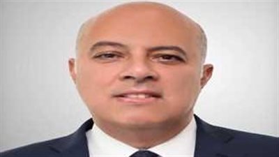 السفير محمد الشناوي.. من هو المتحدث باسم رئاسة الجمهورية الجديد؟