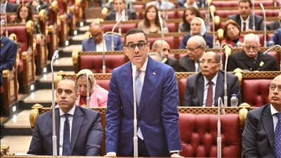 وزير الاستثمار والتجارة الخارجية يستعرض أمام الجلسة العامة لمجلس الشيوخ سياسات الدولة الهادفة للتيسير على المستثمرين 