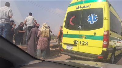 بالاسماء.. إصابة 13 شخص في حادث تصادم بطريق تمي الامديد المنصورة