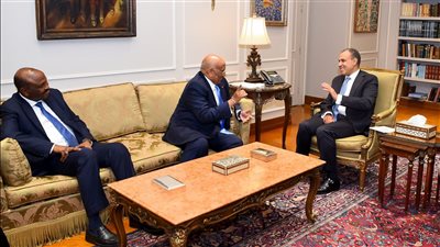 وزير الخارجية والهجرة يلتقي مع رئيس البرلمان الجيبوتي لتعزيز التعاون المشترك