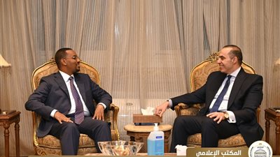 وزير الشئون النيابية يستقبل وزير الدولة للعدل والشئون الدستورية بجمهورية الصومال 