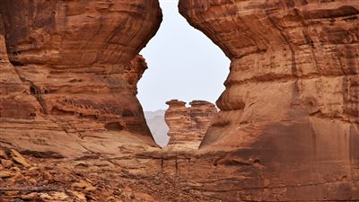 اكتشاف تاريخي لبقايا كائنات بحرية عمرها 56 مليون سنة شمال السعودية