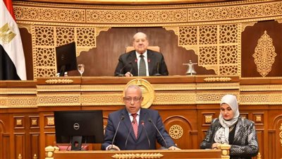  وزير الشئون النيابية يشارك بجلسة مجلس الشيوخ لمناقشة بعض قواعد وإجراءات التصرف في أملاك الدولة الخاصة 