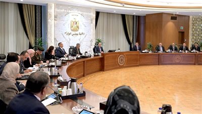 رئيس الوزراء يتابع إجراءات طرح تخطيط وتطوير منطقة منف الأثرية على مكتب استشاري عالميّ