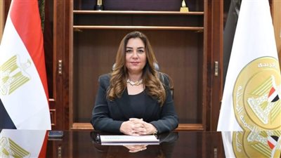 وزيرة التنمية المحلية تتلقى تقريراً حول جهود قطاع التفتيش وتقويم الأداء خلال شهر نوفمبر 2024