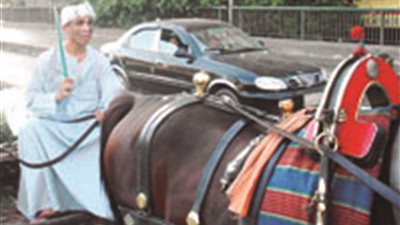 القبض على 4 أشخاص تنمروا على سائق عربة كارو بالبحيرة