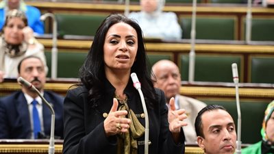 وزيرة التضامن تتوجه بالشكر لمجلس النواب لحرصهم على حقوق الأسر الأكثر احتياجاً 