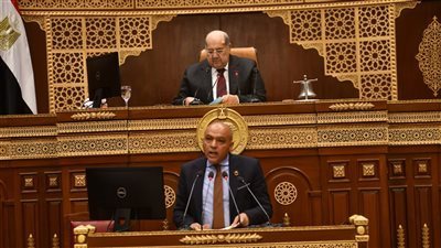 نائب: المبادرة المصرية بصياغة موقف عربى ضد التوغل الإسرائيلى ستكشف غطرسة نتنياهو