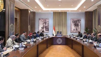 رئيس الوزراء يستعرض مقترحات وفرص التنمية المختلفة بالأراضي الشاطئية