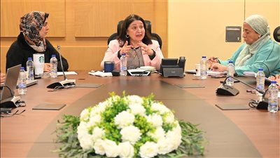 نائبة وزيرة التضامن الاجتماعي تلتقي مدير مشروع EOSD ووفد من الوكالة الألمانية للتعاون الدولي