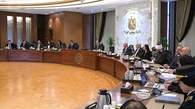 رئيس الوزراء يترأس اجتماع المجلس القومي للسكان