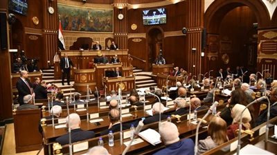 مجلس الشيوخ يناقش غدا المسئولية عن تعويض الأضرار الناجمة عن الأخطاء الطبية