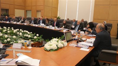 عصمت: إتاحة الكهرباء بجودة واستمرارية واستقرار ودعم وتطوير وتحديث شبكة نقل الكهرباء لاستيعاب القدرات المضافة من الطاقات المتجددة.