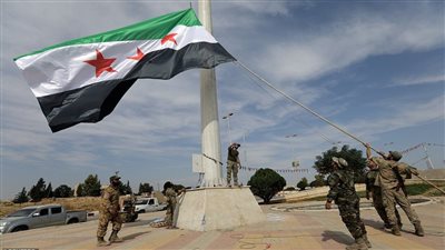 اتصالات مصرية مكثفة مع وزراء خارجية عرب بشأن سوريا