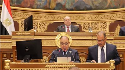 وزير الشئون النيابية: مجلس الشيوخ يؤكد مجددًا دوره كبيت خبرة في مناقشة القوانين الحيوية