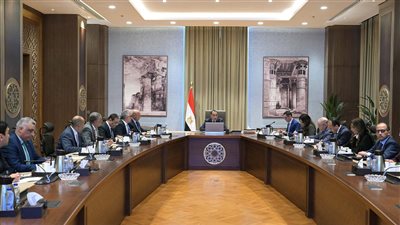 رئيس الوزراء يستعرض مقترح الهيكل التنظيمي لمنطقة 