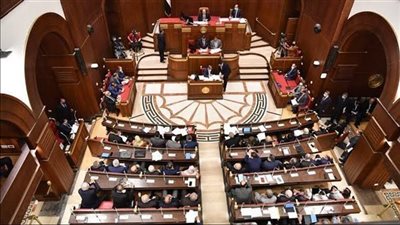 مجلس الشيوخ يوافق على التصالح فى جرائم قانون المسؤولية الطبية