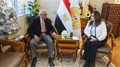 وزيرة التنمية المحلية تبحث مع محافظ شمال سيناء الموقف التنفيذي للمشروعات التنموية والخدمية 