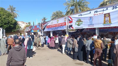 وزارة التموين تنظم عدد ٥ أسواق اليوم الواحد جديدة بعدد من المحافظات