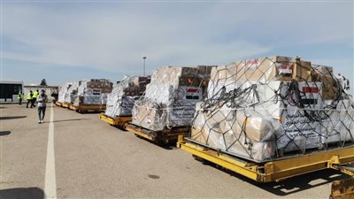 الخارجية: وصول طائرة مساعدات مصرية إلى دمشق