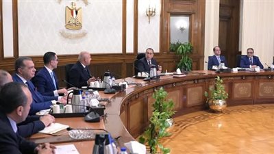 رئيس الوزراء يتابع الموقف التنفيذي للإفراج الجمركي عن البضائع وتطبيق منظومة التسجيل المسبق للشحنات